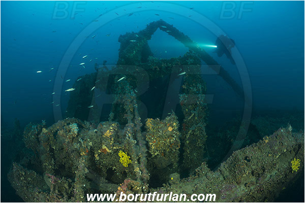 Plomin, Istria, Croatia, Adriatic sea, Mediterranean sea, Wreck Vis, Wreck, Vis, Diver