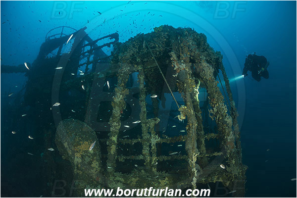 Plomin, Istria, Croatia, Adriatic sea, Mediterranean sea, Wreck Vis, Wreck, Vis, Diver
