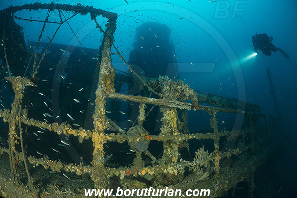 Plomin, Istria, Croatia, Adriatic sea, Mediterranean sea, Wreck Vis, Wreck, Vis, Diver