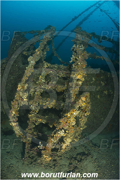 Plomin, Istria, Croatia, Adriatic sea, Mediterranean sea, Wreck Vis, Wreck, Vis