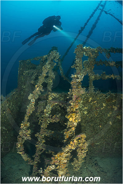 Plomin, Istria, Croatia, Adriatic sea, Mediterranean sea, Wreck Vis, Wreck, Vis, Diver