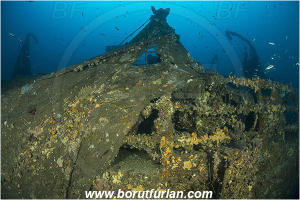 Plomin, Istria, Croatia, Adriatic sea, Mediterranean sea, Wreck Vis, Wreck, Vis