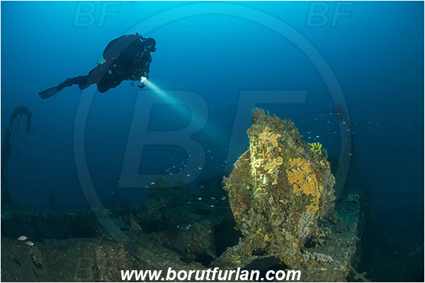 Plomin, Istria, Croatia, Adriatic sea, Mediterranean sea, Wreck Vis, Wreck, Vis, Diver