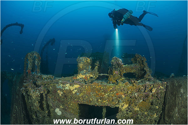 Plomin, Istria, Croatia, Adriatic sea, Mediterranean sea, Wreck Vis, Wreck, Vis, Diver