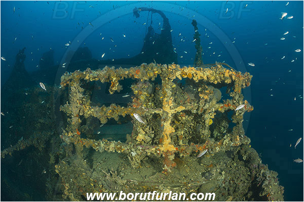 Plomin, Istria, Croatia, Adriatic sea, Mediterranean sea, Wreck Vis, Wreck, Vis