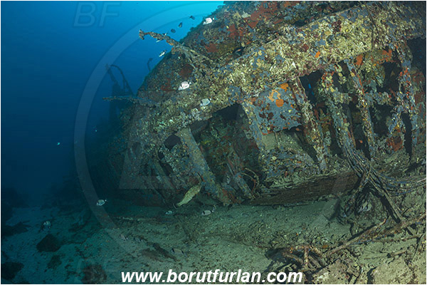 Peljesac, Croatia, Adriatic sea, Mediterranean sea, Wreck, S-57 wreck (German "speedboat" from WW II), S-57