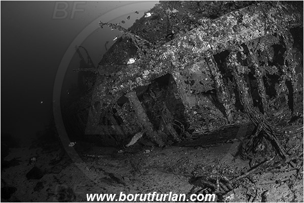 Peljesac, Croatia, Adriatic sea, Mediterranean sea, Wreck, S-57 wreck (German "speedboat" from WW II), S-57, Black&white