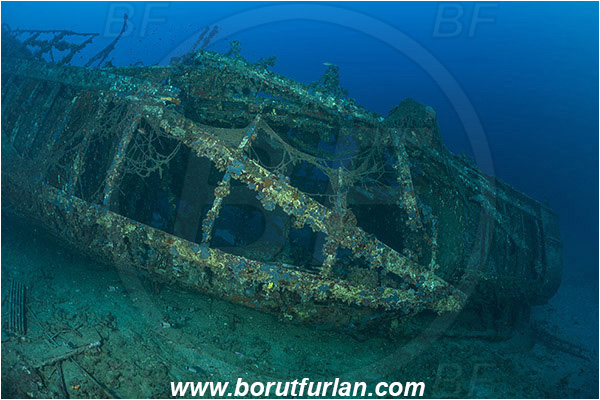 Peljesac, Croatia, Adriatic sea, Mediterranean sea, Wreck, S-57 wreck (German "speedboat" from WW II), S-57