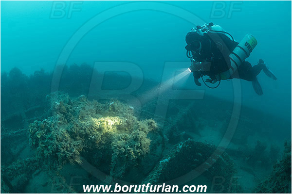 Island Krk, Croatia, Adriatic sea, Mediterranean sea, Wreck Regolo, Wreck, Regolo, Diver