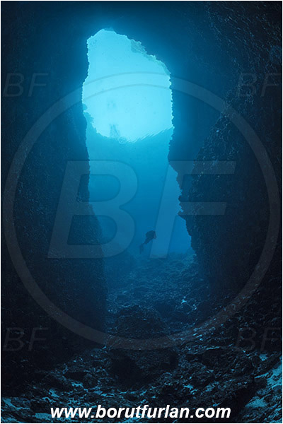 Island Susac, Croatia, Adriatic sea, Mediterranean sea, Reef, Sea lake, Window, Tunnel, Diver
