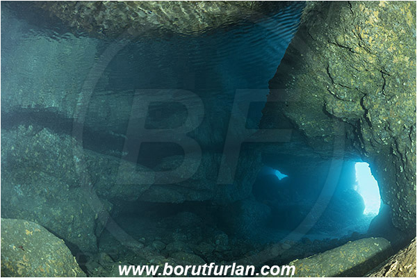 Island Lastovo, Croatia, Adriatic sea, Mediterranean sea, Reef, Cave, Surface