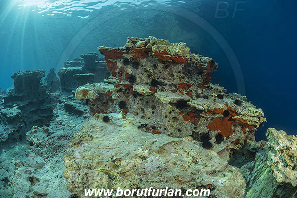 Island Lastovo, Croatia, Adriatic sea, Mediterranean sea, Reef, Rocks