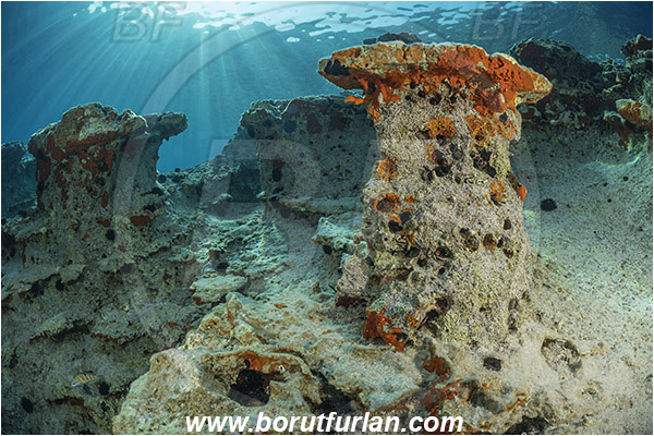Island Lastovo, Croatia, Adriatic sea, Mediterranean sea, Reef, Rocks