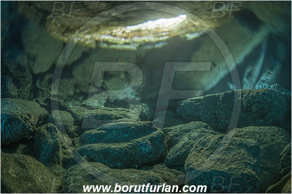Island Lastovo, Croatia, Adriatic sea, Mediterranean sea, Reef, Cave, Surface, Reflections
