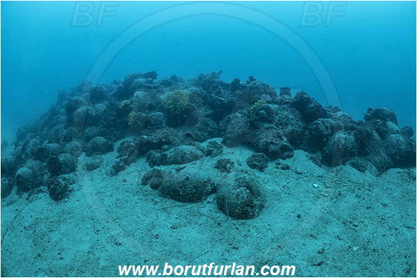 Island Pag, Croatia, Adriatic sea, Mediterranean sea, Amphora, Amphorae, A bunch of amphorae