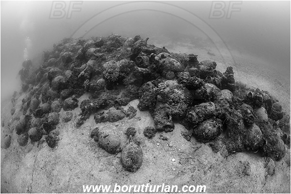 Island Pag, Croatia, Adriatic sea, Mediterranean sea, Amphora, Amphorae, A bunch of amphorae, Black&white