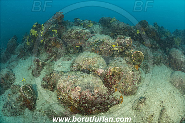 Island Pag, Croatia, Adriatic sea, Mediterranean sea, Amphora, Amphorae, A bunch of amphorae