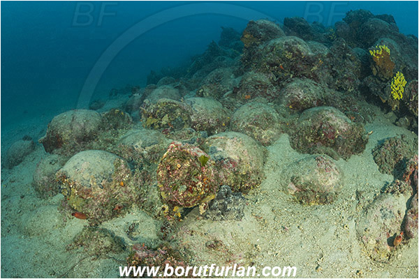 Island Pag, Croatia, Adriatic sea, Mediterranean sea, Amphora, Amphorae, A bunch of amphorae