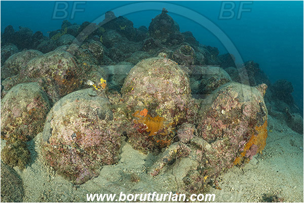 Island Pag, Croatia, Adriatic sea, Mediterranean sea, Amphora, Amphorae, A bunch of amphorae