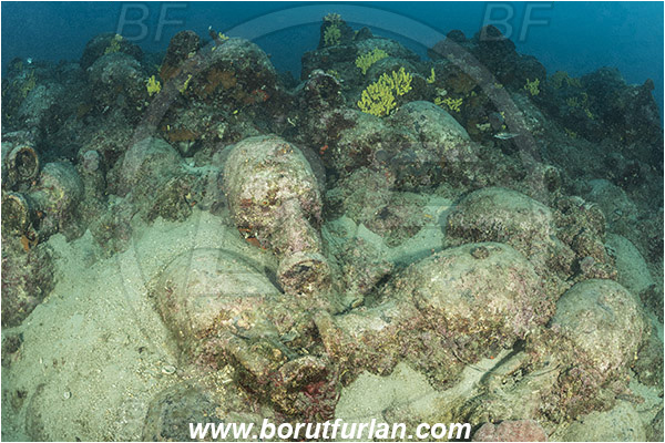 Island Pag, Croatia, Adriatic sea, Mediterranean sea, Amphora, Amphorae, A bunch of amphorae