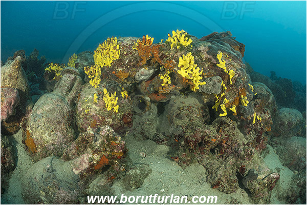 Island Pag, Croatia, Adriatic sea, Mediterranean sea, Amphora, Amphorae, A bunch of amphorae