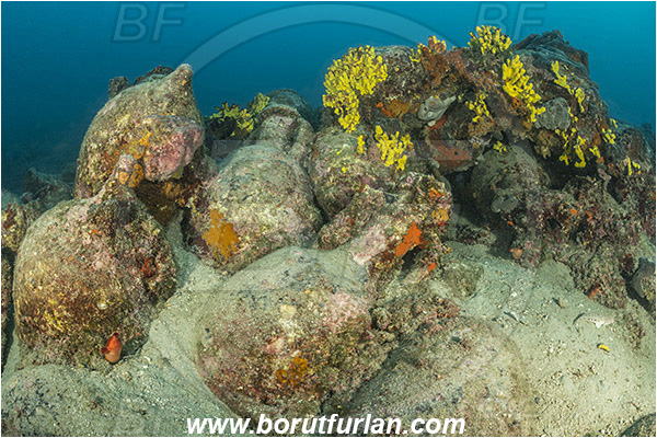 Island Pag, Croatia, Adriatic sea, Mediterranean sea, Amphora, Amphorae, A bunch of amphorae