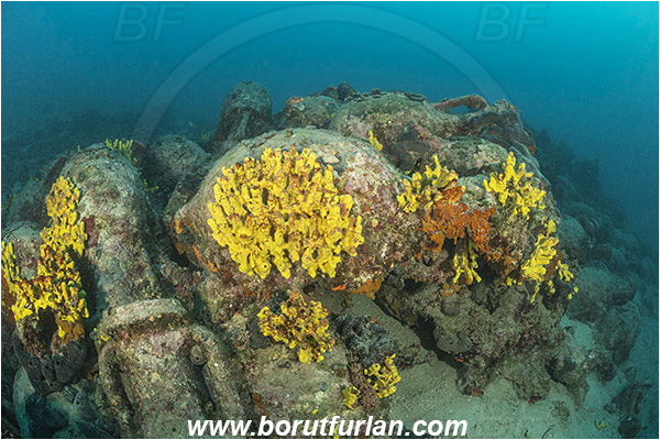 Island Pag, Croatia, Adriatic sea, Mediterranean sea, Amphora, Amphorae, A bunch of amphorae