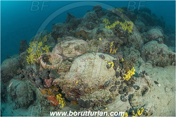 Island Pag, Croatia, Adriatic sea, Mediterranean sea, Amphora, Amphorae, A bunch of amphorae