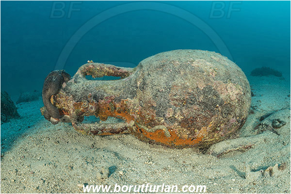 Island Pag, Croatia, Adriatic sea, Mediterranean sea, Amphora