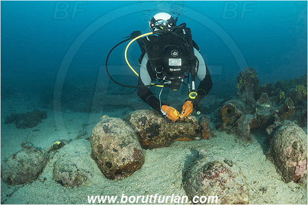 Island Pag, Croatia, Adriatic sea, Mediterranean sea, Amphora, Amphorae, A bunch of amphorae, Diver, Underwater archaeologist, Underwater archaeologist at work