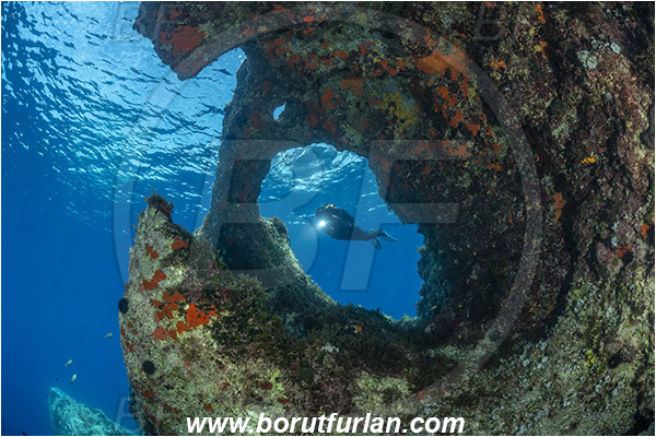 Island Susac, Croatia, Adriatic sea, Mediterranean sea, Reef, Window, Tunnel, Rocks, Diver