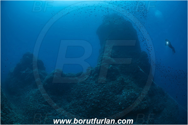 Island Susac, Croatia, Adriatic sea, Mediterranean sea, Reef, Pillar, Diver, Fish school, Rock