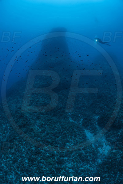 Island Susac, Croatia, Adriatic sea, Mediterranean sea, Reef, Pillar, Diver