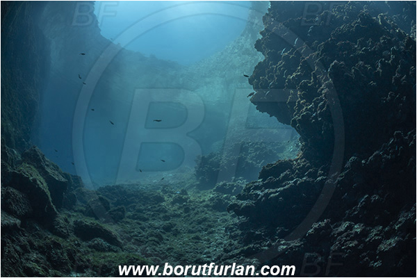 Island Susac, Croatia, Adriatic sea, Mediterranean sea, Reef, Sea lake
