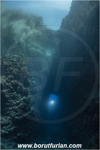 Island Susac, Croatia, Adriatic sea, Mediterranean sea, Reef, Window, Tunnel, Sea lake, Diver