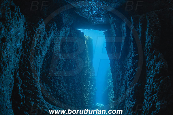 Island Susac, Croatia, Adriatic sea, Mediterranean sea, Reef, Cave, Canyon