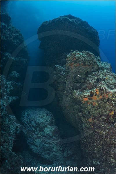 Island Susac, Croatia, Adriatic sea, Mediterranean sea, Reef, Canyon