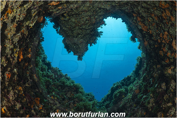 Island Susac, Croatia, Adriatic sea, Mediterranean sea, Reef, Cave, Widow