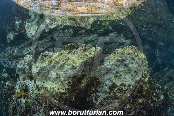 Island Susac, Croatia, Adriatic sea, Mediterranean sea, Reef, Sea lake, Reflections, Rocks