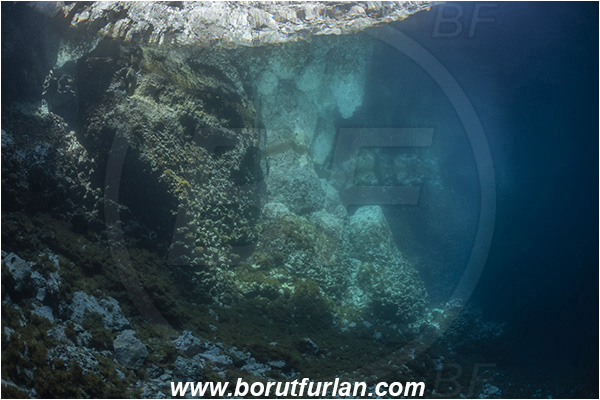 Island Susac, Croatia, Adriatic sea, Mediterranean sea, Reef, Sea lake, Reflections