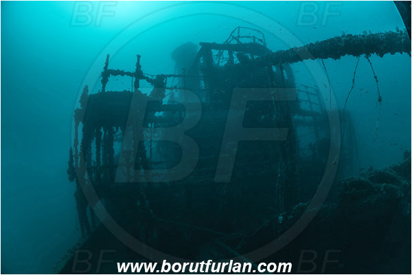 Plomin, Istria, Croatia, Adriatic sea, Mediterranean sea, Wreck Vis, Wreck, Vis