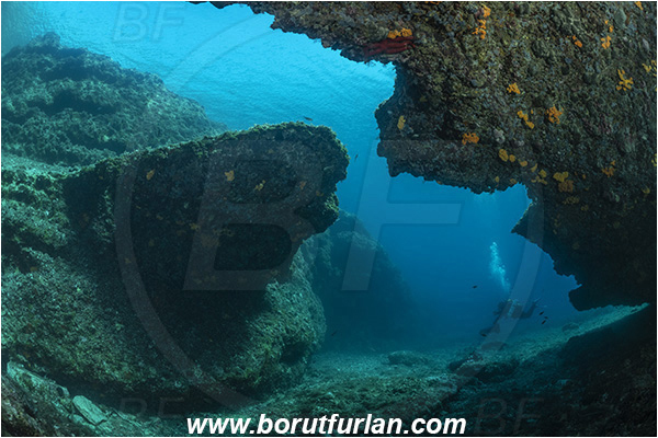 Island Korcula, Croatia, Adriatic sea, Mediterranean sea, Reef, Rocks, Overhang, Canyon, Diver