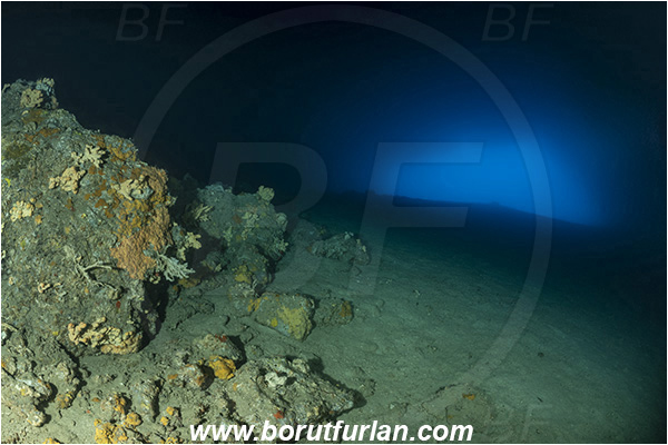 Island Korcula, Croatia, Adriatic sea, Mediterranean sea, Reef, Cave