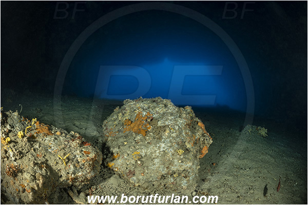 Island Korcula, Croatia, Adriatic sea, Mediterranean sea, Reef, Cave