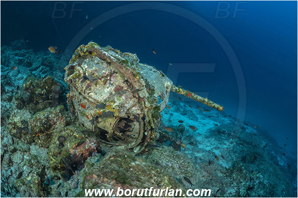 Island Dugi otok, Croatia, Adriatic sea, Mediterranean sea, Wreck, Gun, Machine gun, Reef