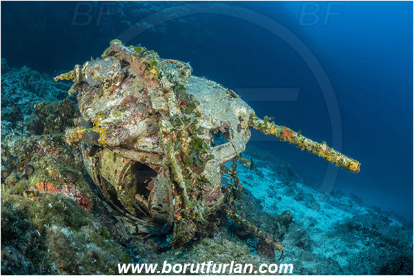 Island Dugi otok, Croatia, Adriatic sea, Mediterranean sea, Wreck, Gun, Machine gun, Reef