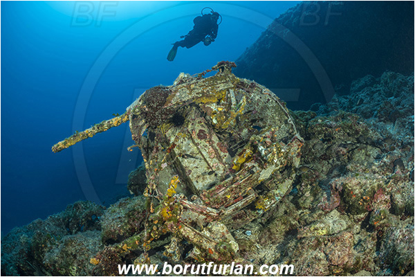 Island Dugi otok, Croatia, Adriatic sea, Mediterranean sea, Wreck, Gun, Machine gun, Reef, Diver