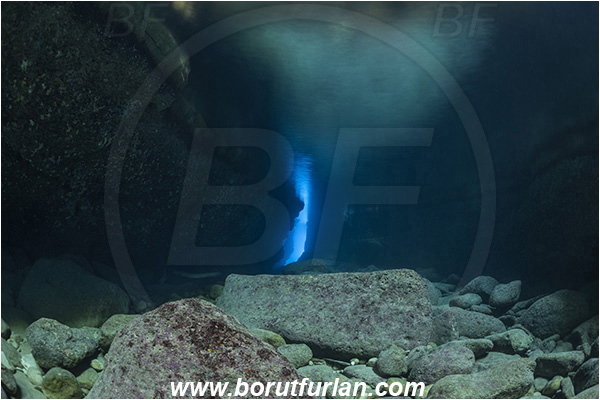 Island Dugi otok, Croatia, Adriatic sea, Mediterranean sea, Reef, Canyon, Cave
