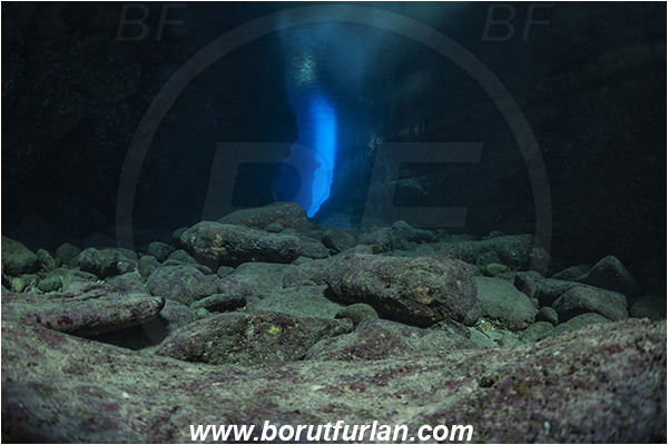 Island Dugi otok, Croatia, Adriatic sea, Mediterranean sea, Reef, Canyon, Cave