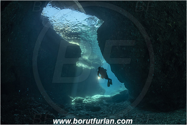 Island Dugi otok, Croatia, Adriatic sea, Mediterranean sea, Reef, Cave, Diver, Canyon